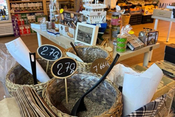 WhatsApp Image 2026-03-12 at 19.51.44